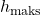 h_{\text{maks}}