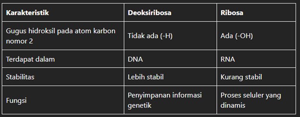 Tabel Perbedaan Deoksiribosa dan Ribosa