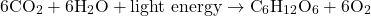 \[ 6\text{CO}_2 + 6\text{H}_2\text{O} + \text{light energy} \rightarrow \text{C}_6\text{H}_{12}\text{O}_6 + 6\text{O}_2 \]