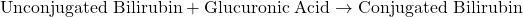 \[ \text{Unconjugated Bilirubin} + \text{Glucuronic Acid} \rightarrow \text{Conjugated Bilirubin} \]