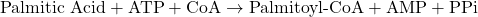 \[ \text{Palmitic Acid} + \text{ATP} + \text{CoA} \rightarrow \text{Palmitoyl-CoA} + \text{AMP} + \text{PPi} \]