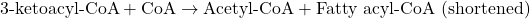 \[ \text{3-ketoacyl-CoA} + \text{CoA} \rightarrow \text{Acetyl-CoA} + \text{Fatty acyl-CoA (shortened)} \]