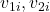 v_{1i}, v_{2i}