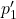 p_1'