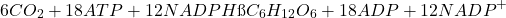 \[ 6CO_2 + 18ATP + 12NADPH → C_6H_{12}O_6 + 18ADP + 12NADP^+ \]