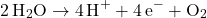 \[ 2 \, \text{H}_2\text{O} \rightarrow 4 \, \text{H}^+ + 4 \, \text{e}^- + \text{O}_2 \]