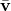 \bar{\mathbf{v}}