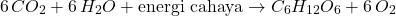 \[ 6 \, CO_2 + 6 \, H_2O + \text{energi cahaya} \rightarrow C_6H_{12}O_6 + 6 \, O_2 \]