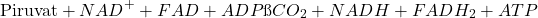 \[ \text{Piruvat} + NAD^+ + FAD + ADP → CO_2 + NADH + FADH_2 + ATP \]