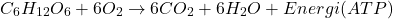 \[ C_6H_{12}O_6 + 6O_2 \rightarrow 6CO_2 + 6H_2O + Energi (ATP) \]