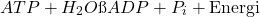 \[ ATP + H_2O → ADP + P_i + \text{Energi} \]