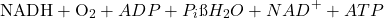 \[ \text{NADH} + \text{O}_2 + ADP + P_i → H_2O + NAD^+ + ATP \]