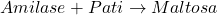\[ Amilase + Pati \rightarrow Maltosa \]
